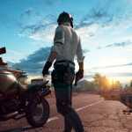 pubg_vip_nell_notext.0