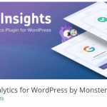 monster-insights