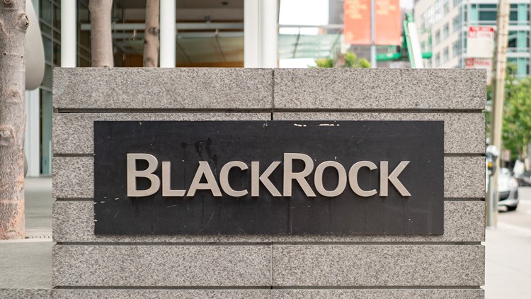Η BlackRock προγραμματίζει την έναρξη ενός μεγάλου ταμείου εστιασμένου στην τεχνητή νοημοσύνη