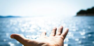 Το Remaster του Horizon Zero Dawn για PS5 Υποδηλώνει Ότι Η Παλίμψηστη Έκδοση Είναι Τώρα Διπλά Ακριβή