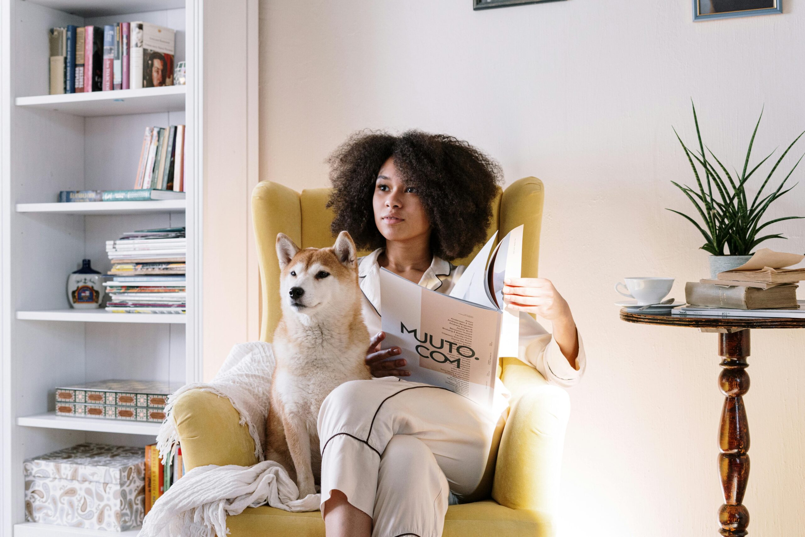 Η τιμή του Shiba Inu μοιάζει με αυτή του Dogecoin, σύμφωνα με αναλυτή Η τιμή του Shiba Inu μοιάζει με αυτή του Dogecoin, σύμφωνα με αναλυτή