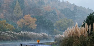Η εξερεύνηση της περιοχής Takashiro και το θησαυροφυλάκιο στο Forza Horizon 6